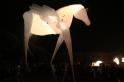 Fiers a Cheval 20 * 5184 x 3456 * (5.03MB)